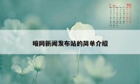 暗网新闻发布站的简单介绍