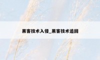 黑客技术入侵_黑客技术追回