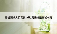 渗透测试入门实战pdf_高级渗透测试书籍