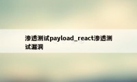 渗透测试payload_react渗透测试漏洞