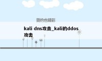 kali dns攻击_kali的ddos攻击