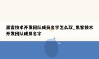 黑客技术开发团队成员名字怎么取_黑客技术开发团队成员名字