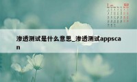 渗透测试是什么意思_渗透测试appscan