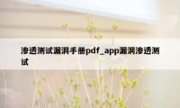 渗透测试漏洞手册pdf_app漏洞渗透测试