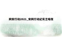 网安行动2021_安网行动纪实之暗夜