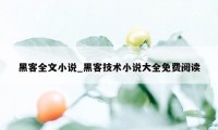 黑客全文小说_黑客技术小说大全免费阅读