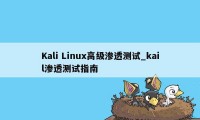 Kali Linux高级渗透测试_kail渗透测试指南