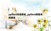 python攻击脚本_python网络攻防脚本