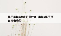 属于ddos攻击的是什么_ddos属于什么攻击类型