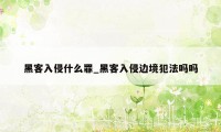 黑客入侵什么罪_黑客入侵边境犯法吗吗