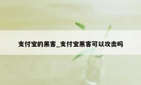 支付宝的黑客_支付宝黑客可以攻击吗