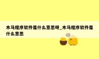 木马程序软件是什么意思呀_木马程序软件是什么意思