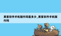 黑客软件手机版代码是多少_黑客软件手机版代码