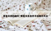 黑客攻击的图片_黑客攻击各种手段图片大全