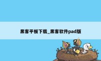 黑客平板下载_黑客软件pad版