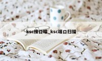 ksc接口瞄_ksc端口扫描