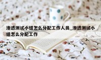 渗透测试小组怎么分配工作人员_渗透测试小组怎么分配工作