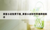 黑客小说免费下载_黑客小说软件苹果教程新手