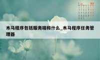 木马程序包括服务端和什么_木马程序任务管理器