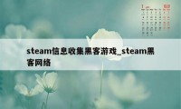 steam信息收集黑客游戏_steam黑客网络