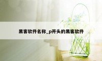 黑客软件名称_p开头的黑客软件