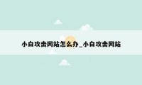 小白攻击网站怎么办_小白攻击网站