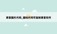 黑客图片代码_图标代码可复制黑客软件