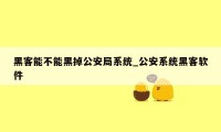 黑客能不能黑掉公安局系统_公安系统黑客软件