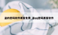 盗的密码软件黑客免费_盗qq密码黑客软件