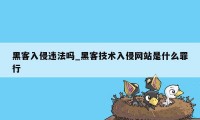 黑客入侵违法吗_黑客技术入侵网站是什么罪行