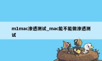 m1mac渗透测试_mac能不能做渗透测试