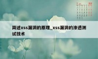 简述xss漏洞的原理_xss漏洞的渗透测试技术