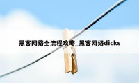 黑客网络全流程攻略_黑客网络dicks