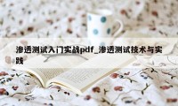 渗透测试入门实战pdf_渗透测试技术与实践