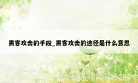 黑客攻击的手段_黑客攻击的途径是什么意思