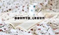 黑客软件下载_Q黑客软件