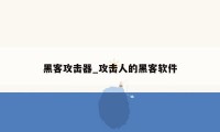 黑客攻击器_攻击人的黑客软件