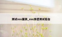 测试xss漏洞_xss渗透测试后台