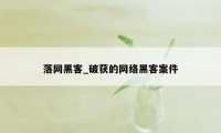 落网黑客_破获的网络黑客案件